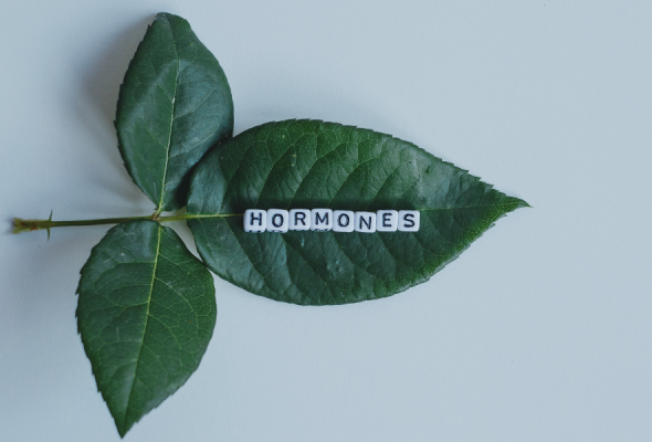 hormones